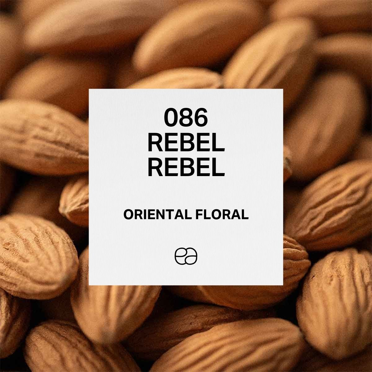 Rebel Rebel